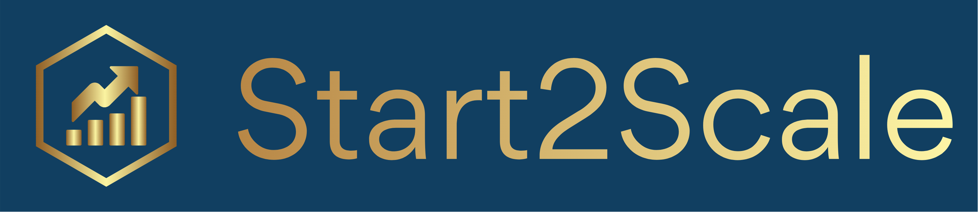 Fractional CMO | B2B Growth Marketer